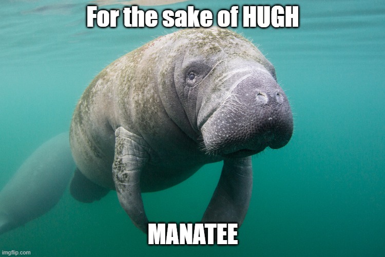 Hugh Manatee | For the sake of HUGH; MANATEE | image tagged in manatee,humanity,satire | made w/ Imgflip meme maker
