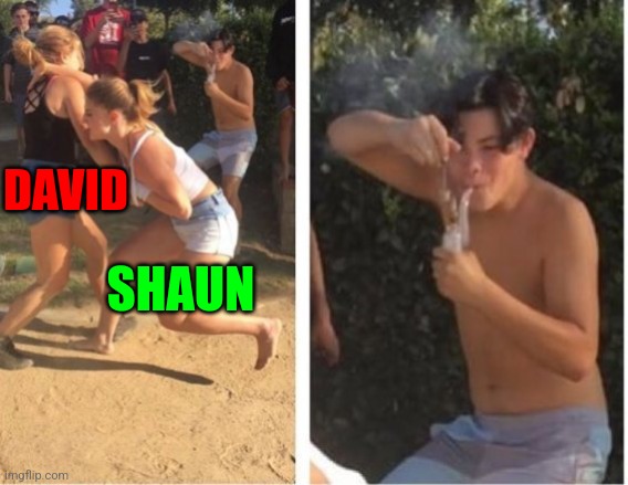 Shaun of the Dead | DAVID; SHAUN | image tagged in girl fight | made w/ Imgflip meme maker