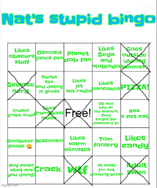 Nat's stupid bingo | image tagged in nat's stupid bingo | made w/ Imgflip meme maker