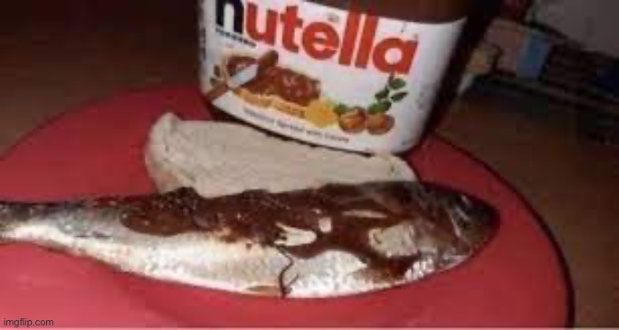 NUTELLA FISH | made w/ Imgflip meme maker