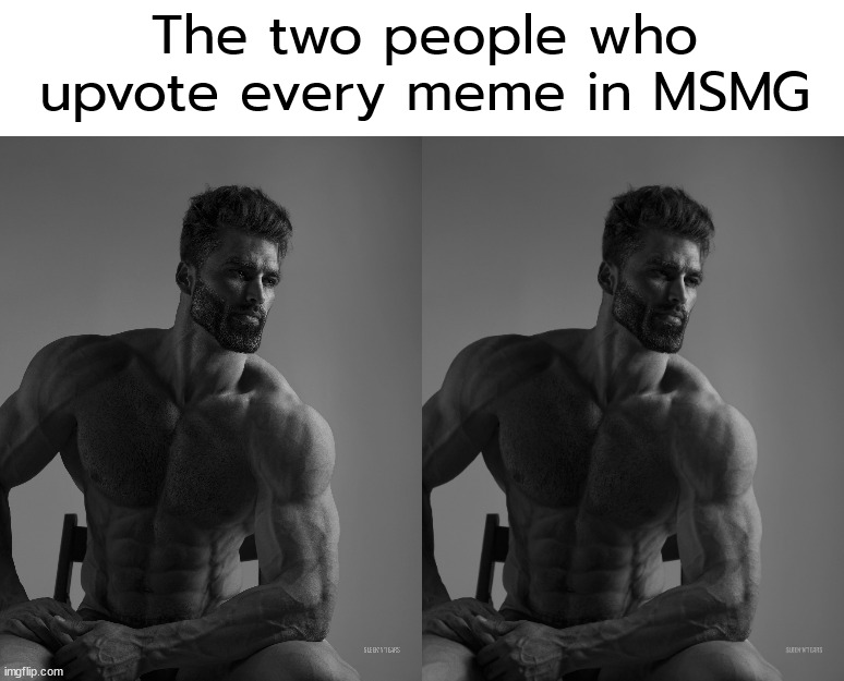 The two people who upvote every meme in MSMG | made w/ Imgflip meme maker