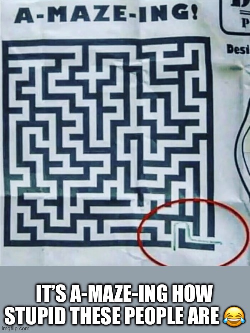 One maze= one job | IT’S A-MAZE-ING HOW STUPID THESE PEOPLE ARE 😂 | image tagged in you had one job,amazed,fail,task failed successfully | made w/ Imgflip meme maker