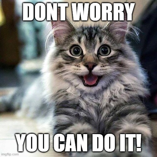 DONT WORRY; YOU CAN DO IT! | image tagged in cute cat | made w/ Imgflip meme maker