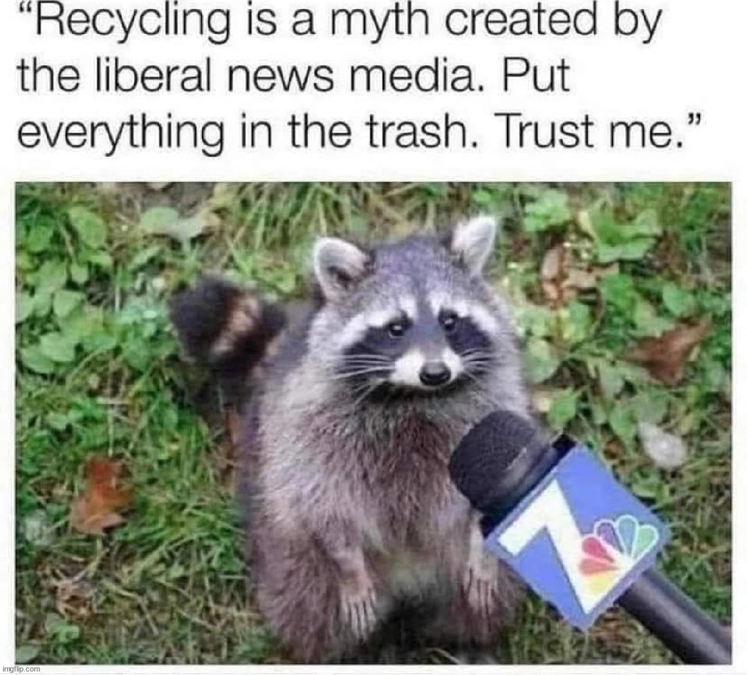 Raccoon not wrong though, usually something can only be recycled once or twice cost-effectivley | made w/ Imgflip meme maker
