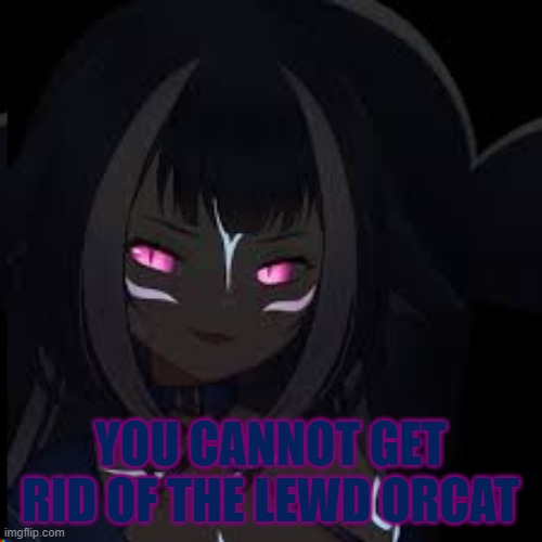 YOU CANNOT GET RID OF THE LEWD ORCAT | made w/ Imgflip meme maker