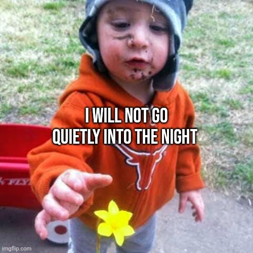 I WILL NOT GO QUIETLY INTO THE NIGHT | made w/ Imgflip meme maker