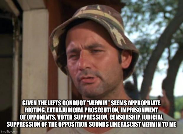 So I Got That Goin For Me Which Is Nice Meme | GIVEN THE LEFTS CONDUCT “VERMIN” SEEMS APPROPRIATE RIOTING, EXTRAJUDICIAL PROSECUTION, IMPRISONMENT OF OPPONENTS, VOTER SUPPRESSION, CENSORS | image tagged in memes,so i got that goin for me which is nice | made w/ Imgflip meme maker