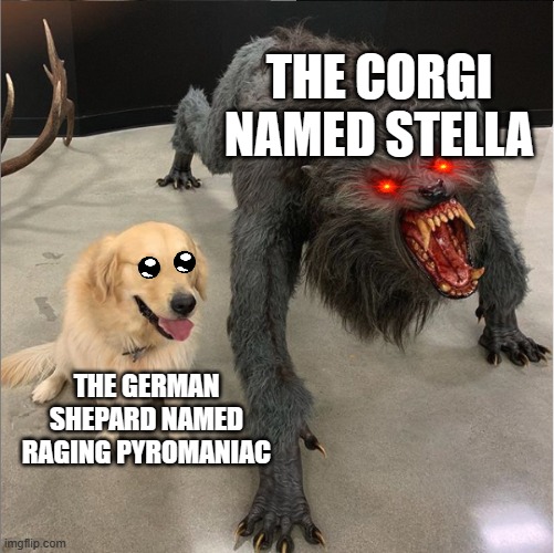 Dogs | THE CORGI NAMED STELLA; THE GERMAN SHEPARD NAMED RAGING PYROMANIAC | image tagged in dog vs werewolf,dogs,dank memes | made w/ Imgflip meme maker