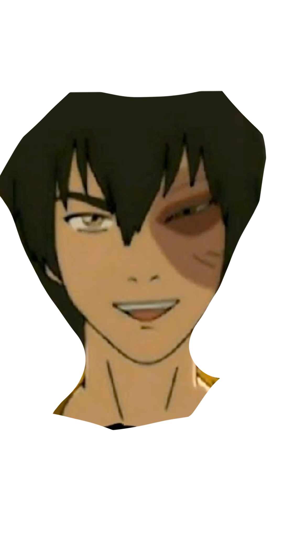Zuko here Blank Meme Template