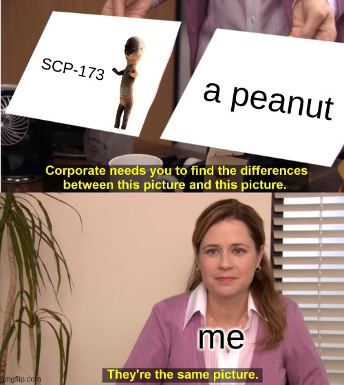 SCP 173 meme | SCP-173; a peanut; me | image tagged in memes,they're the same picture | made w/ Imgflip meme maker
