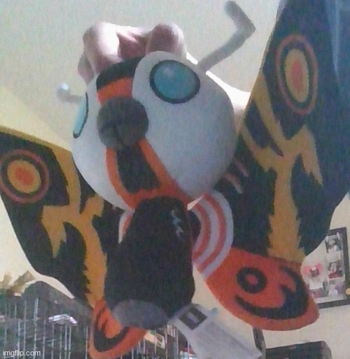 look who arrived in the mail today! | image tagged in mothra | made w/ Imgflip meme maker