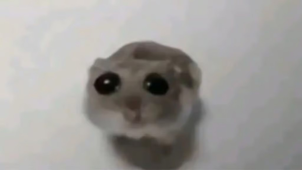 High Quality Sad Hamster Blank Meme Template