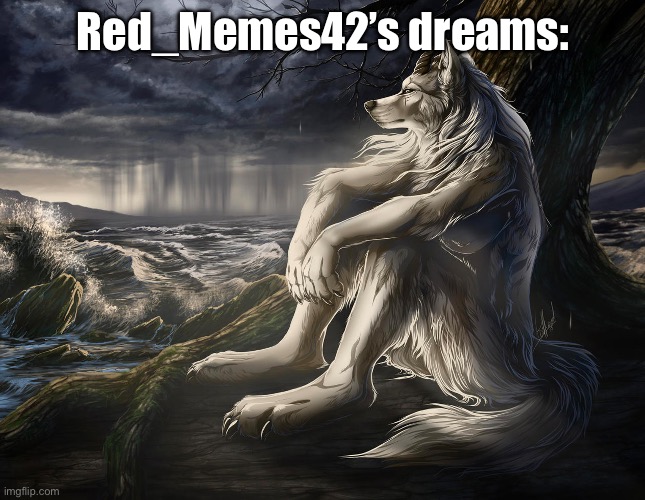 Sitting Wolf | Red_Memes42’s dreams: | image tagged in sitting wolf | made w/ Imgflip meme maker