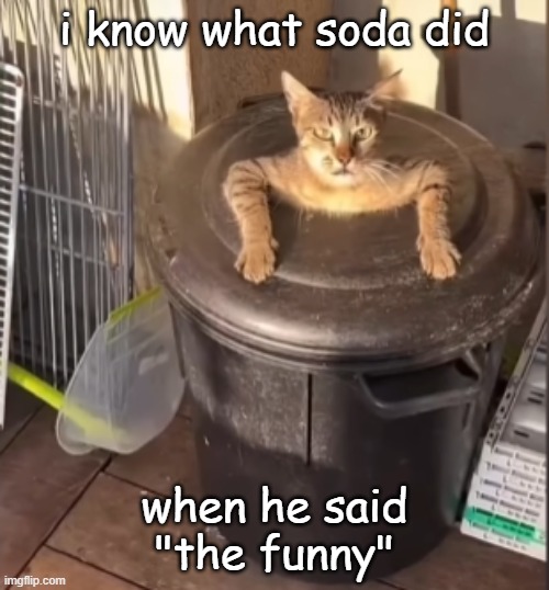 you do not want to mf know | i know what soda did; when he said "the funny" | image tagged in can i fucking help oyu | made w/ Imgflip meme maker