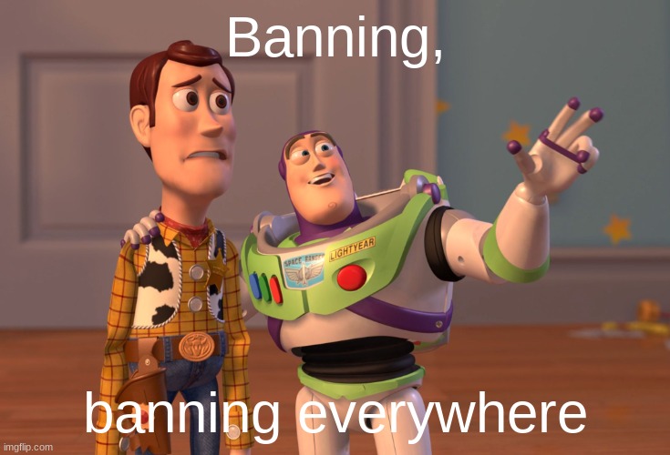 msmg lore | Banning, banning everywhere | image tagged in msmg | made w/ Imgflip meme maker