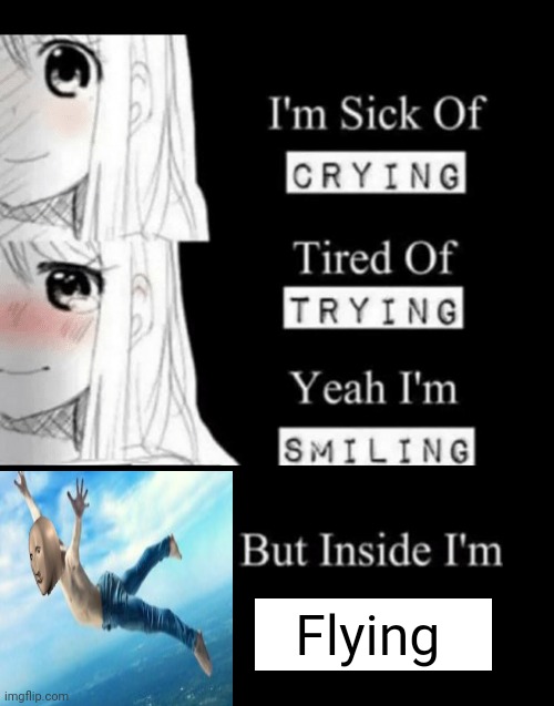 Inside I'm flying | Flying | image tagged in i'm sick of crying | made w/ Imgflip meme maker