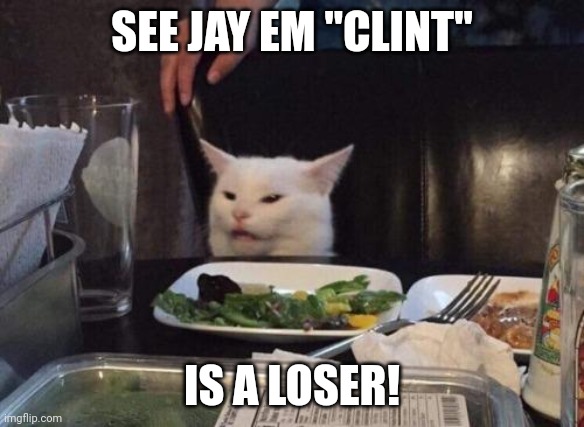 Salad cat | SEE JAY EM "CLINT"; IS A LOSER! | image tagged in salad cat | made w/ Imgflip meme maker