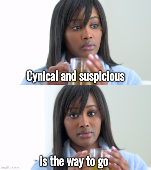 Black Woman Drinking Tea (2 Panels) | Cynical and suspicious is the way to go | image tagged in black woman drinking tea 2 panels | made w/ Imgflip meme maker
