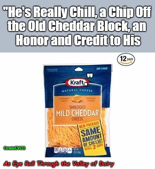 As Eye Roll Through the Valley of Dairy | "He's Really Chill, a Chip Off 

the Old Cheddar Block, an 

Honor and Credit to His; ."; OzwinEVCG; As Eye Roll Through the Valley of Dairy | image tagged in cheese,eyeroll memes,grocery store,bad puns,professionals have standards,quasi-vivid descriptions | made w/ Imgflip meme maker