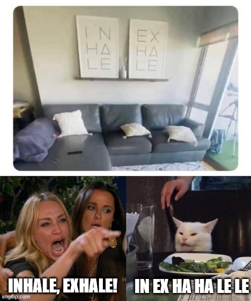 It's a Sign | IN EX HA HA LE LE; INHALE, EXHALE! | image tagged in memes,woman yelling at cat | made w/ Imgflip meme maker