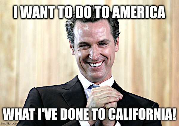 Gavin Newsom: I Want To Do It To America! | image tagged in gavin newsom,2024,californians,moving out | made w/ Imgflip meme maker