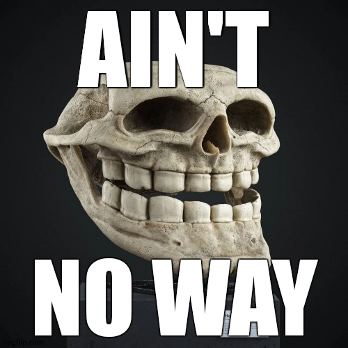 Homo Trollius Skull | AIN'T NO WAY | image tagged in homo trollius skull | made w/ Imgflip meme maker