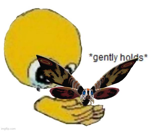 holds gently | image tagged in holds gently | made w/ Imgflip meme maker