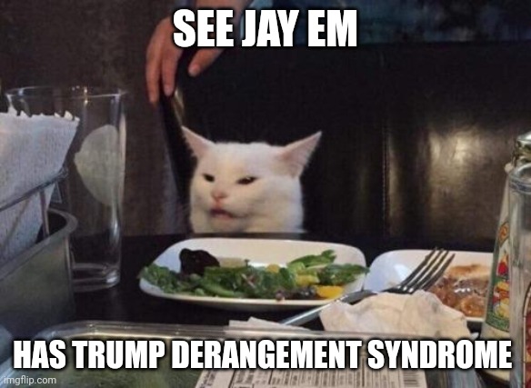 Salad cat | SEE JAY EM; HAS TRUMP DERANGEMENT SYNDROME | image tagged in salad cat | made w/ Imgflip meme maker