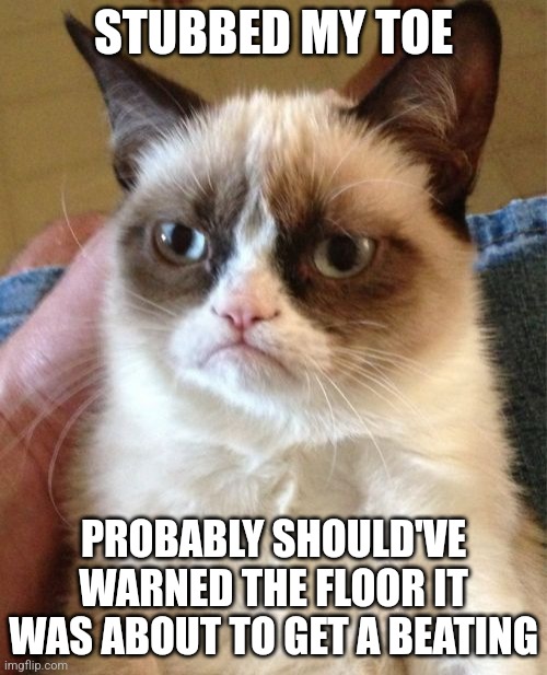 Ain't no way ai thought of that | STUBBED MY TOE; PROBABLY SHOULD'VE WARNED THE FLOOR IT WAS ABOUT TO GET A BEATING | image tagged in memes,grumpy cat | made w/ Imgflip meme maker