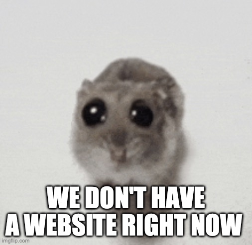 WE DON'T HAVE A WEBSITE RIGHT NOW | made w/ Imgflip meme maker