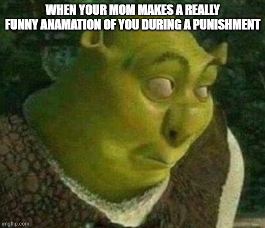 moms be like: ???? | WHEN YOUR MOM MAKES A REALLY FUNNY ANAMATION OF YOU DURING A PUNISHMENT | image tagged in oops shrek | made w/ Imgflip meme maker