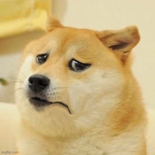 unhappy worried doge | image tagged in unhappy worried doge | made w/ Imgflip meme maker