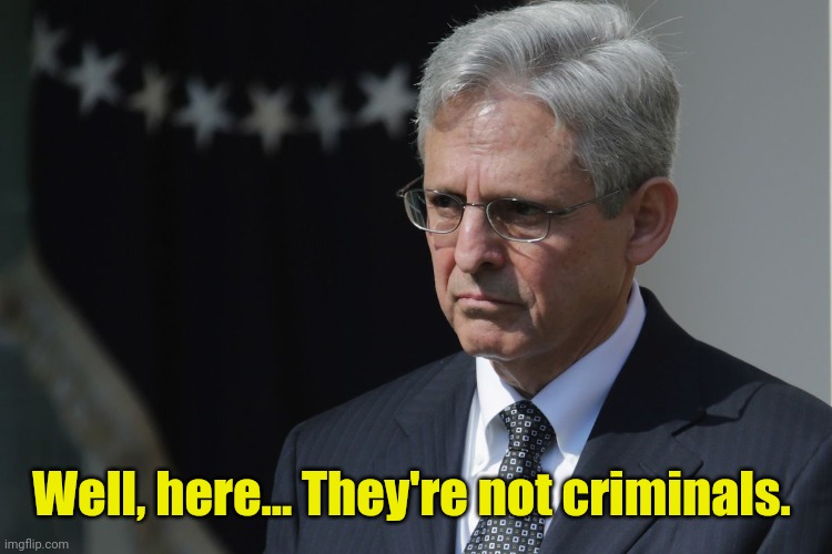 Merrick Garland  | Well, here... They're not criminals. | image tagged in merrick garland | made w/ Imgflip meme maker