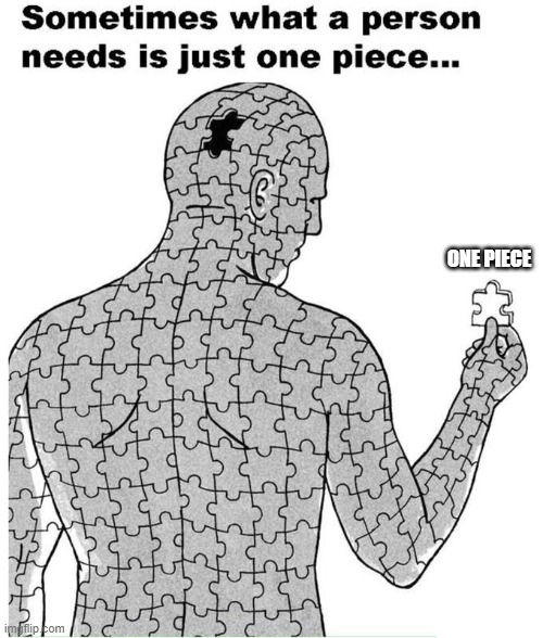 one piece | ONE PIECE | image tagged in sometimes what a person needs is just one piece,one piece,anime,funny,memes | made w/ Imgflip meme maker