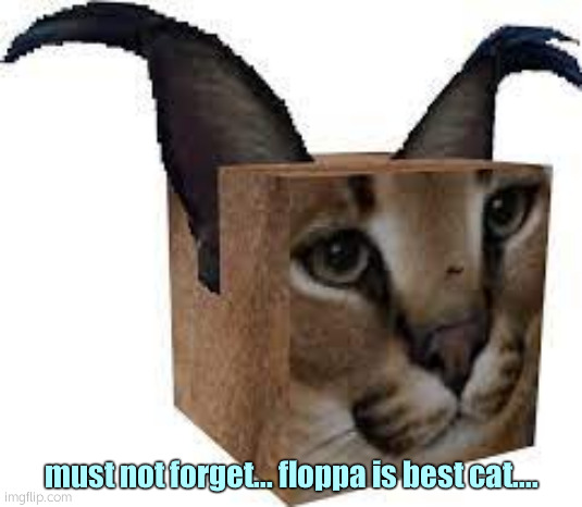 meow | must not forget... floppa is best cat.... | image tagged in floppa | made w/ Imgflip meme maker