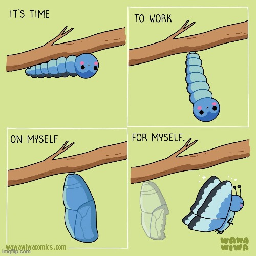 image tagged in caterpillar,cocoon,butterfly | made w/ Imgflip meme maker