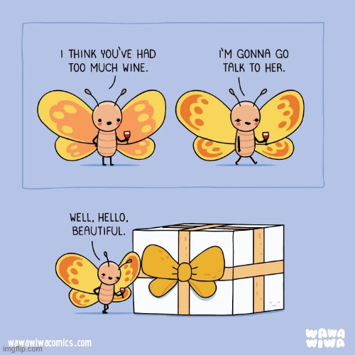 image tagged in butterflies,wine,present,ribbon | made w/ Imgflip meme maker