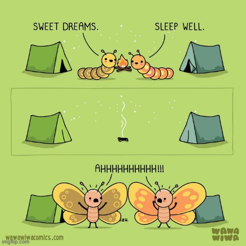 image tagged in caterpillars,camping,tents,butterflies | made w/ Imgflip meme maker