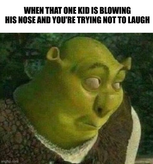 BWAH HAH HA HA HAAAAAAAAAAAAAAAAAAAa | WHEN THAT ONE KID IS BLOWING HIS NOSE AND YOU'RE TRYING NOT TO LAUGH | image tagged in oops shrek | made w/ Imgflip meme maker