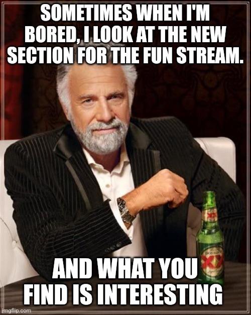 There are some questionable and bad memes | SOMETIMES WHEN I'M BORED, I LOOK AT THE NEW SECTION FOR THE FUN STREAM. AND WHAT YOU FIND IS INTERESTING | image tagged in memes,the most interesting man in the world | made w/ Imgflip meme maker