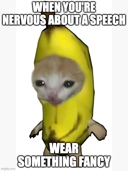 Happy Banana Cat | WHEN YOU'RE NERVOUS ABOUT A SPEECH; WEAR SOMETHING FANCY | image tagged in happy banana cat | made w/ Imgflip meme maker