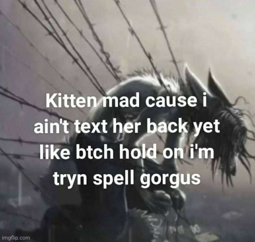 made w/ Imgflip meme maker
