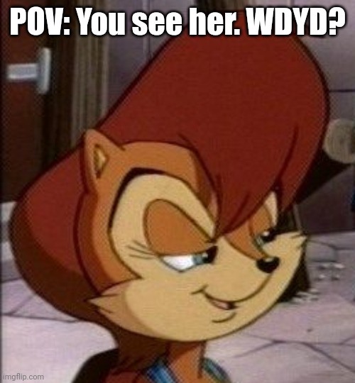 Not my OC. Credit to DiC Entertainment/Cookie Jar and Sega | POV: You see her. WDYD? | image tagged in sally acorn | made w/ Imgflip meme maker