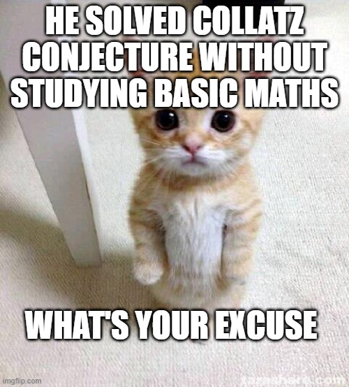 genius | HE SOLVED COLLATZ CONJECTURE WITHOUT STUDYING BASIC MATHS; WHAT'S YOUR EXCUSE | image tagged in memes,cute cat | made w/ Imgflip meme maker