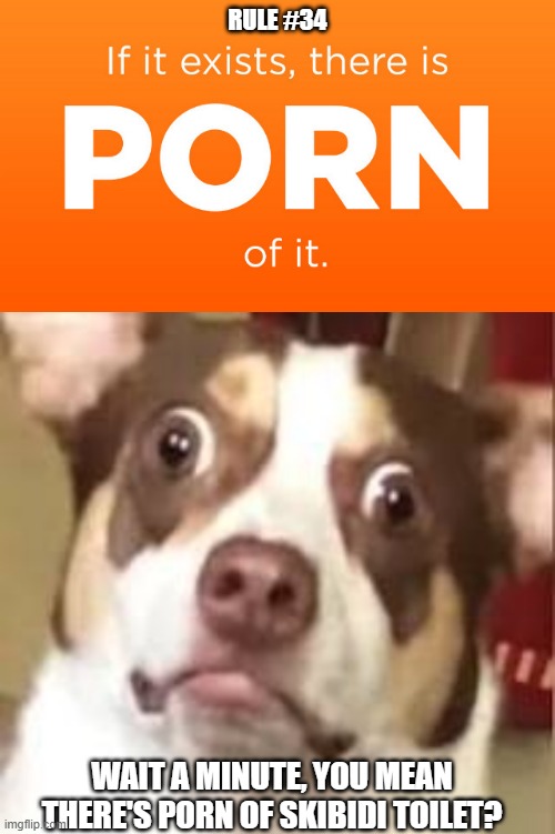 RULE #34; WAIT A MINUTE, YOU MEAN THERE'S PORN OF SKIBIDI TOILET? | image tagged in rule 34,freaked out dog | made w/ Imgflip meme maker
