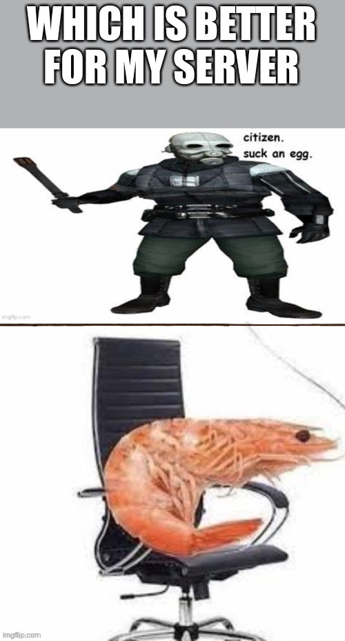 WHICH IS BETTER FOR MY SERVER | made w/ Imgflip meme maker