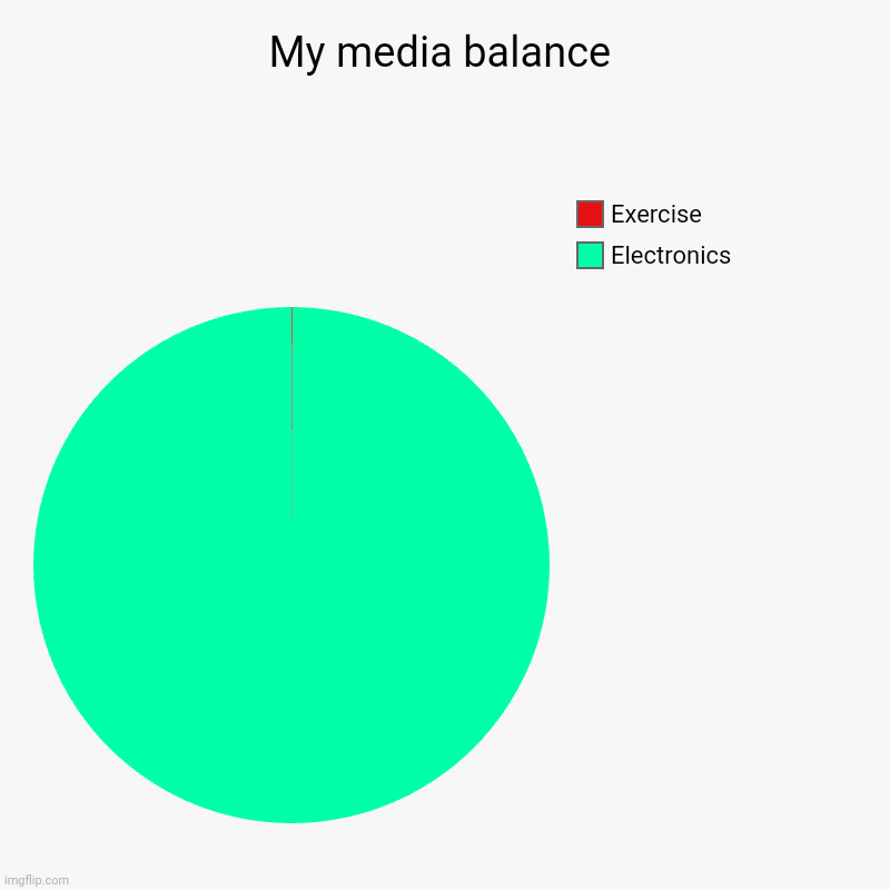 My media balance | Electronics, Exercise | image tagged in charts,pie charts | made w/ Imgflip chart maker