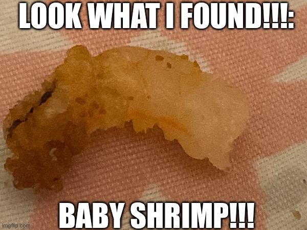 Food meme (yummy/j) | LOOK WHAT I FOUND!!!:; BABY SHRIMP!!! | image tagged in food meme,baby shrimp,gonna eat it,is this rare | made w/ Imgflip meme maker