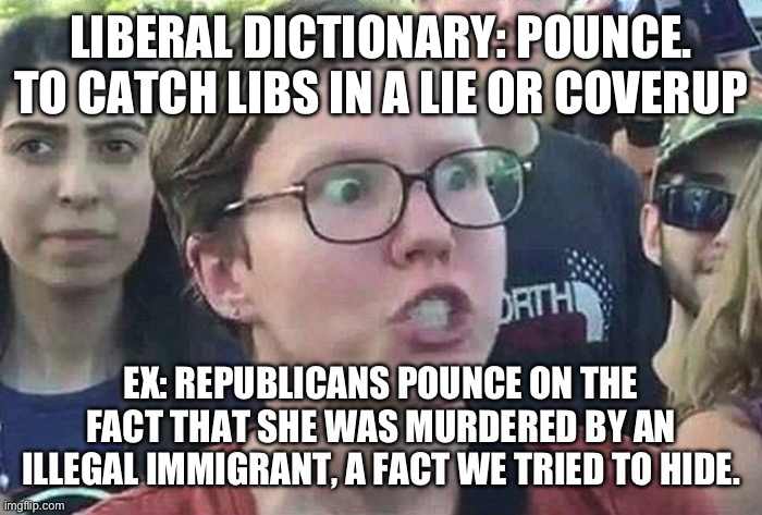We should start housing illegals in cnn tower. That way they can all be murdered by someone they don’t know. | LIBERAL DICTIONARY: POUNCE. TO CATCH LIBS IN A LIE OR COVERUP; EX: REPUBLICANS POUNCE ON THE FACT THAT SHE WAS MURDERED BY AN ILLEGAL IMMIGRANT, A FACT WE TRIED TO HIDE. | image tagged in triggered liberal,liberal hypocrisy,media lies,politics,illegal immigration,georgia | made w/ Imgflip meme maker