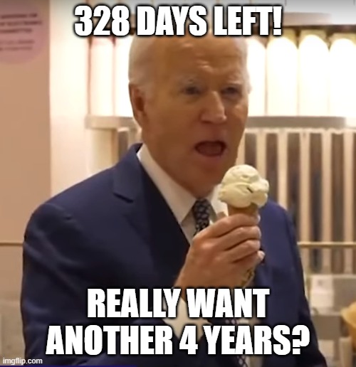 ? | 328 DAYS LEFT! REALLY WANT ANOTHER 4 YEARS? | image tagged in fjb,presidential race,dementia,kamala harris,vice president,ice cream | made w/ Imgflip meme maker
